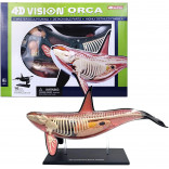 ANATOMIA DA ORCA 4D VISION ORCA ANATOMY MODEL 4D MASTER FAMEMASTER FME 26099